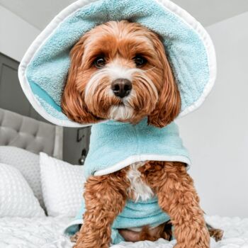 Personalised Luxury Dog Drying Coat, 7 of 11