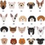 Personalised Dog Breed Ceramic Coaster, thumbnail 5 of 12