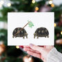 Mistletoe Tortoise Christmas Cards, thumbnail 9 of 10