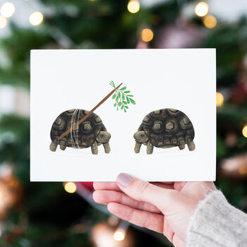 Mistletoe Tortoise Christmas Cards, 9 of 10