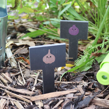 Printed Fruit And Veg Slate Plant Markers, 4 of 7