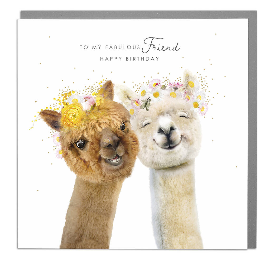 Fabulous Friend Alpaca Birthday Card For Best Friends