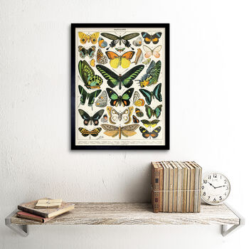 Millot Encyclopedia Page Moths Butterflies Art Print, 2 of 3