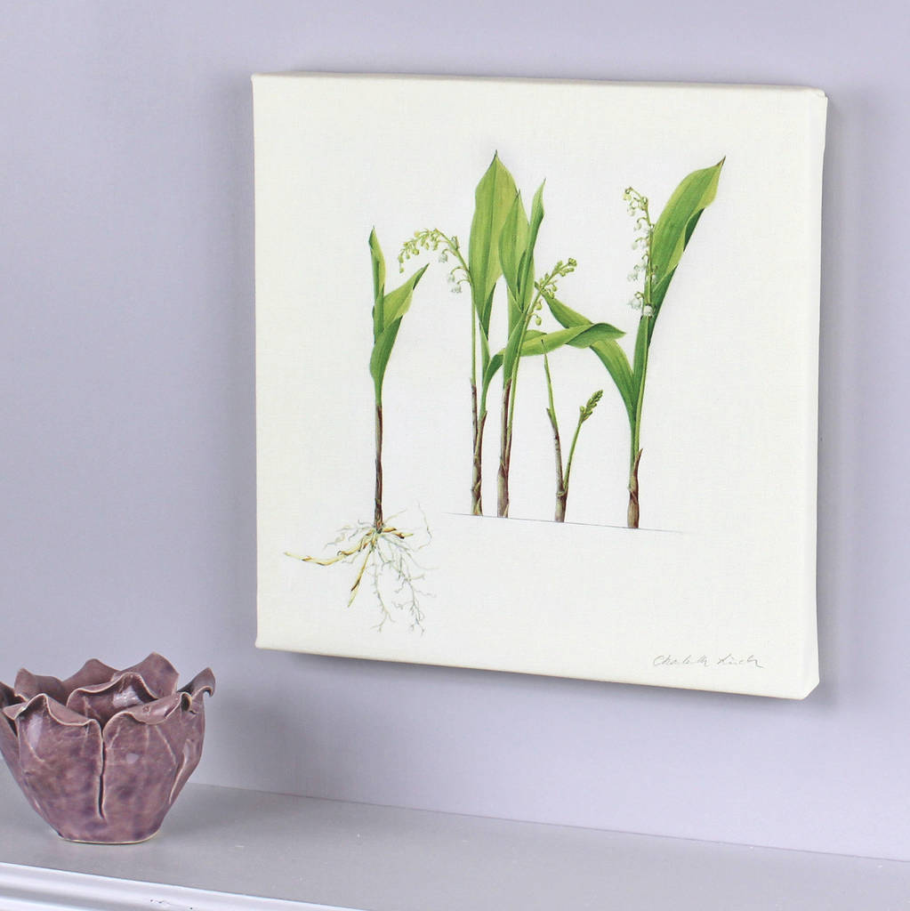 'lily of the valley' canvas print by the botanical concept