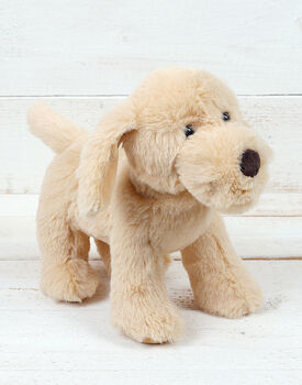 Hound Dog And Golden Puppy Soft Toy Set, 3 of 3
