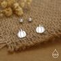 Sterling Silver Pumpkin 18 G Screw Back Stud Earring With Ball Backs, thumbnail 6 of 11