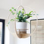 Wooden Plant Hanger Round, thumbnail 1 of 7