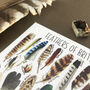 Feathers Of Britain Illustrated Postcard, thumbnail 4 of 9