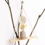 Macrame Cotton Rope With Leaf Wall Hanging Shelf, thumbnail 5 of 8