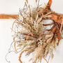 Dried Ruscus Amaranth Wreath With Bunny Tails, thumbnail 3 of 5