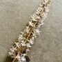White And Gold Eremurus Spray, thumbnail 3 of 6