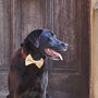 'I've Misplaced My Humans' Dog ID Tag, thumbnail 8 of 12