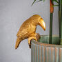 Gold Toucan Pot Hanger Ornament, thumbnail 1 of 3