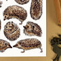 Hedgehogs Wildlife Watercolour Postcard, thumbnail 8 of 9
