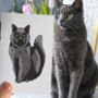 Personalised Full Cat Portrait Print, Cat Lover Gift, thumbnail 2 of 10
