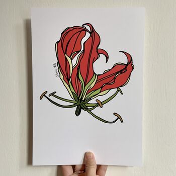 Flame Lily Print, 3 of 6
