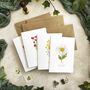 Set Of 10 Different Wildflower Notecards And Envelopes, thumbnail 2 of 7