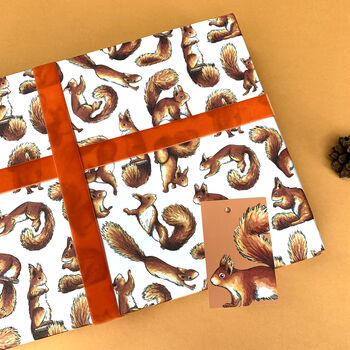 Red Squirrel Watercolour Wrapping Paper, 11 of 12