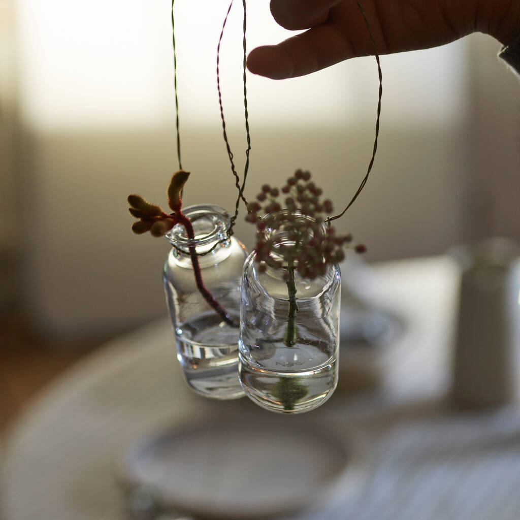 Hanging Bud Vase By Rowen & Wren
