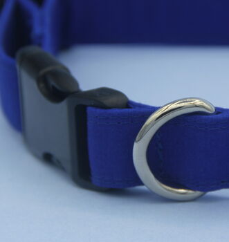 Bright Blue Dog Collar, 4 of 12