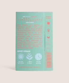 Borage 'Starflower' Seeds, 2 of 4