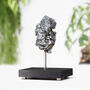 Large Campo Del Cielo Meteorite Bespoke Solid Oak Stand Real Authentic Space Meteor Fragment Natural History Interior Design Home Decor Display Gift Ornament, thumbnail 1 of 3