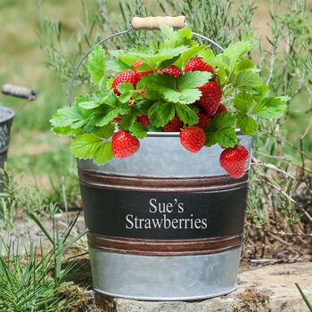 Personalised Large Zinc Garden Planter Bucket, 3 of 9