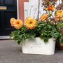 Personalised Engraved Flower Planter Nan’s Mothers Day Gift, thumbnail 3 of 4