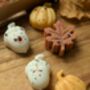 Autumnal Wax Melt Selection Box For Autumn Decor, thumbnail 8 of 10
