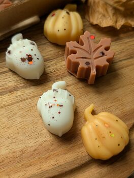 Autumnal Wax Melt Selection Box For Autumn Decor, 8 of 10