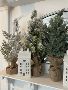Miniature Snow Covered Faux Christmas Trees Two Sizes, 3 of 5
