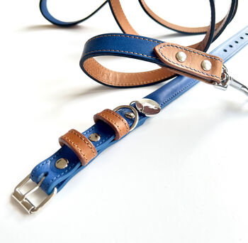 Blue Collar And Lead Set, 4 of 5