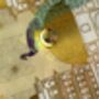 Jewellery Trinket Box, Lacquer Coated, Indian Print, thumbnail 5 of 11