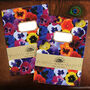 Viola Pansy Print Lined And Plain Notebook Set, thumbnail 1 of 9