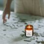This Candle Smells Like Drew Starkey With Matches, Celebrity Candles, thumbnail 11 of 11