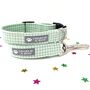 Green Dog Collar And Lead For Girl Or Boy Dogs, thumbnail 1 of 7
