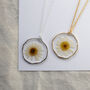 Daisy Pressed Flower Framed Necklace, thumbnail 2 of 3