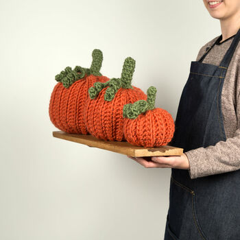 Pumpkin Trio Crochet Kit, 6 of 10