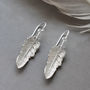 Sterling Silver Small Feather Drop Earrings, thumbnail 1 of 6