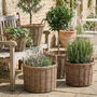 Lira Wicker Round Lined Planter Basket With Handles, thumbnail 4 of 7