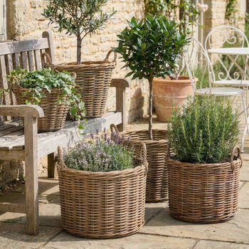 Lira Wicker Round Lined Planter Basket With Handles, 4 of 7
