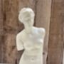 Pair Of Venus White Bookends Heavy Book Holders Gift, thumbnail 7 of 9