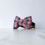 Rainbow Harris Tweed Dog Bow Tie, thumbnail 3 of 6