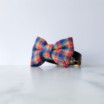 Rainbow Harris Tweed Dog Bow Tie, 3 of 6