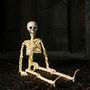 Micro LED Light Up Skeleton Halloween Decoration, thumbnail 2 of 12