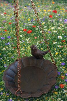 Bird Feathered Friends Gift Set, 5 of 7