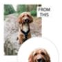 Personalised Pet Christmas Bow Card, thumbnail 9 of 10