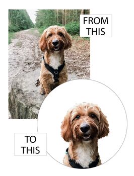 Personalised Pet Christmas Bow Card, 9 of 10
