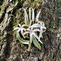 White Spider Lily Flower Brooch, thumbnail 1 of 6