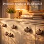 Nautical Brass Seashell Knob, thumbnail 2 of 8